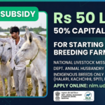 The DAHD's NLM-EDP scheme provides a 50% capital subsidy of up to Rs 50 lakh to entrepreneurs starting an indigenous donkey breeding farm in India.