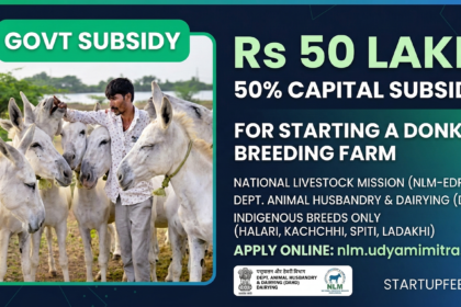The DAHD's NLM-EDP scheme provides a 50% capital subsidy of up to Rs 50 lakh to entrepreneurs starting an indigenous donkey breeding farm in India.