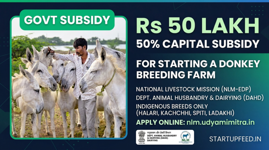 The DAHD's NLM-EDP scheme provides a 50% capital subsidy of up to Rs 50 lakh to entrepreneurs starting an indigenous donkey breeding farm in India.