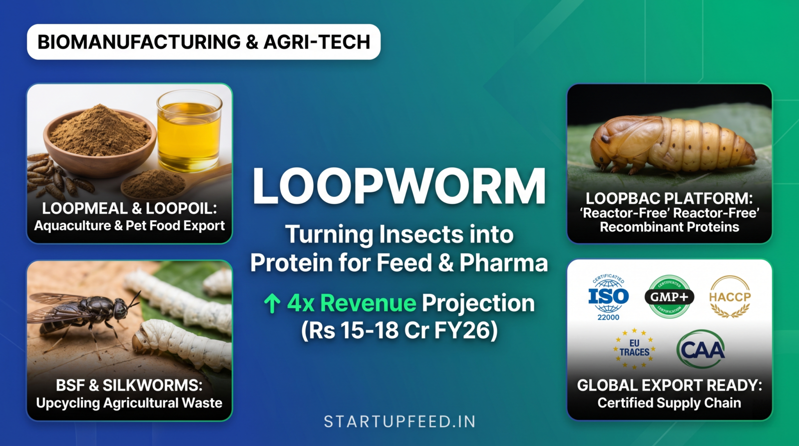 Loopworm Bengaluru biomanufacturing startup insect protein silkworm bioreactor animal feed pharma FY26 projection.