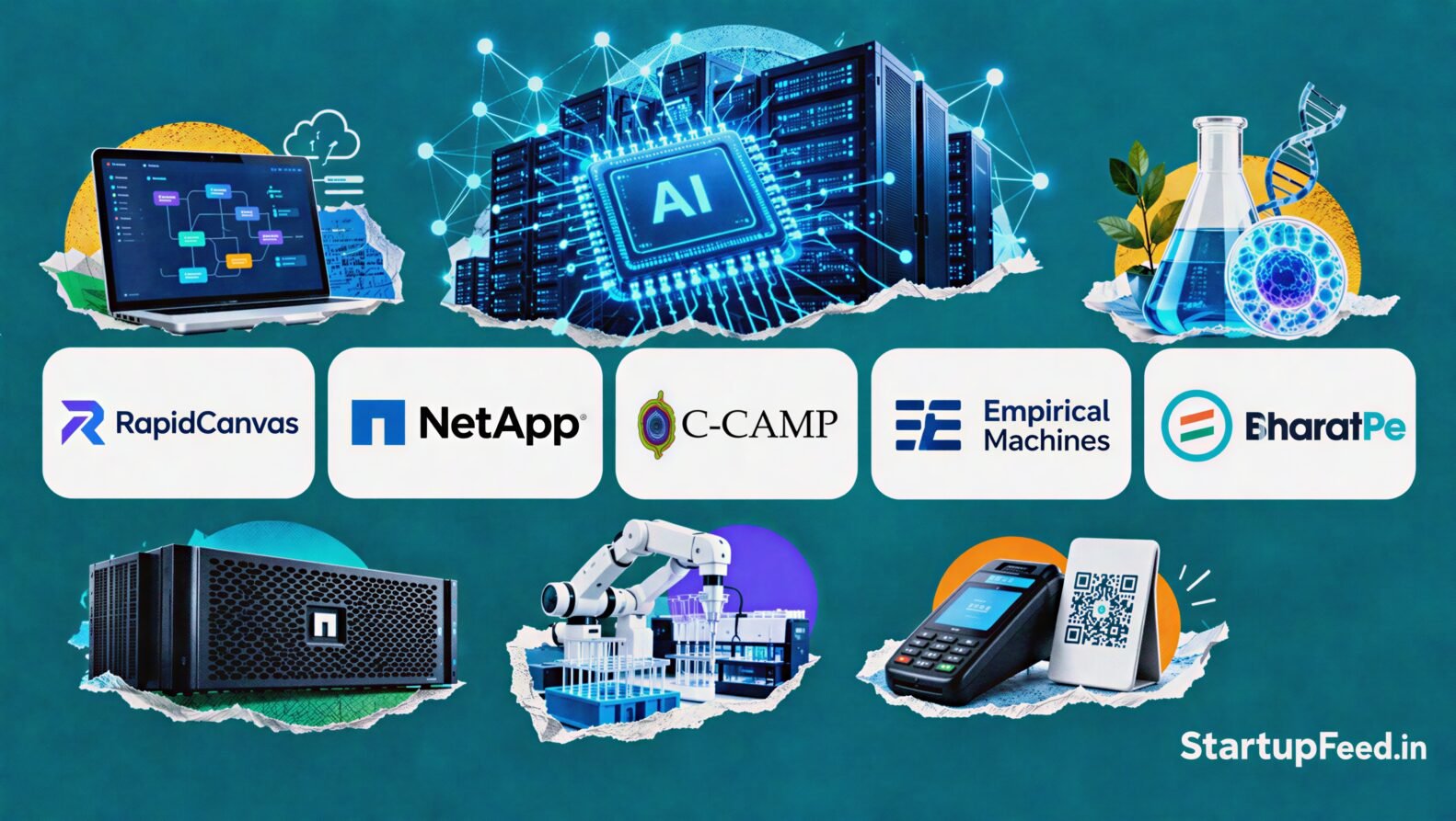 Morning Five logos of RapidCanvas, NetApp, C-CAMP, Empirical Machines and BharatPe with AI, biotech and digital payment objects
